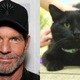 Illustration for article titled Dennis Quaid adopts cat also named Dennis Quaid